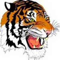 Wilson Middle School